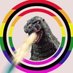 ๐ฆSAYOKOโจCollectionใฐ๏ธเผ5000เผ
โกเบผโบ๏ธ (@sayoko9927) Twitter profile photo ๐ฆSAYOKOโจCollectionใฐ๏ธเผ5000เผ
โกเบผโบ๏ธ (@sayoko9927) Twitter profile photo