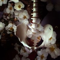andro π΅π· (@androgarcia2004) 's Twitter Profile