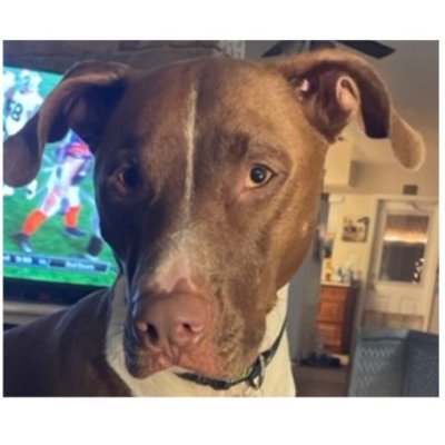 sandsfba0628's profile picture. My passion is to help you develop and maintain a healthy lifestyle. My goal is for everyone to be healthy mentally, physically spiritually.