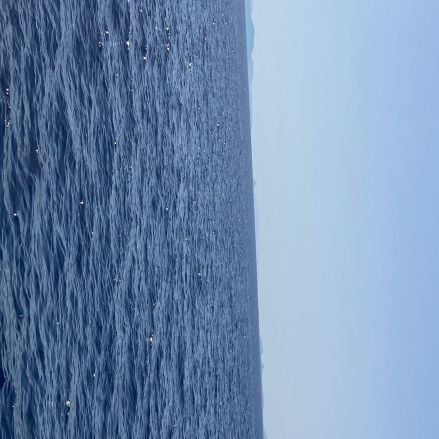 dam998877's profile picture. 