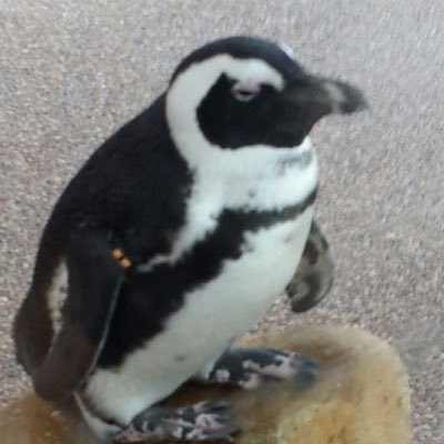 J47Bz's profile picture. 