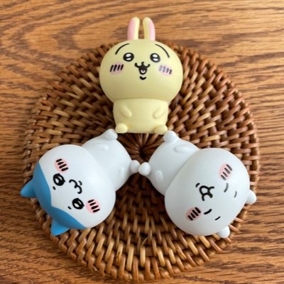 ちいサラさんのプロフィール画像