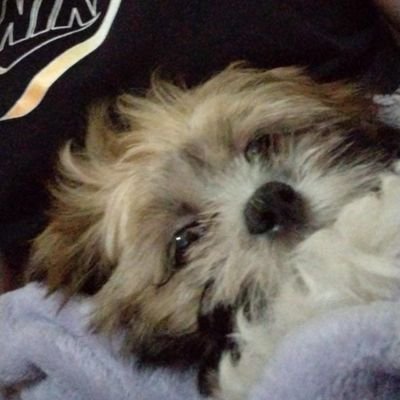 eddieさんのプロフィール画像