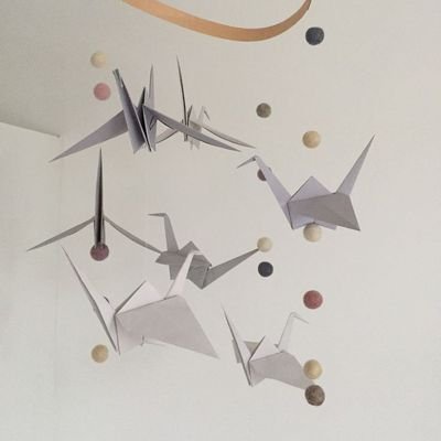 adelinatrejo's profile picture. Constructora de paz y de desarrollo humano