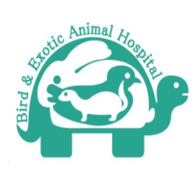 エキゾチック診療 19号 20号 エキゾチック診療 19号 20号 エキゾチック臨床シリーズ Vol.20