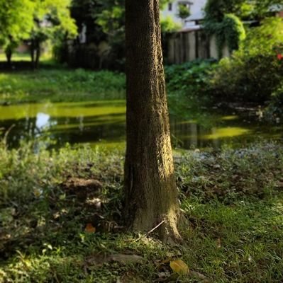 lourembam_nicky's profile picture. 