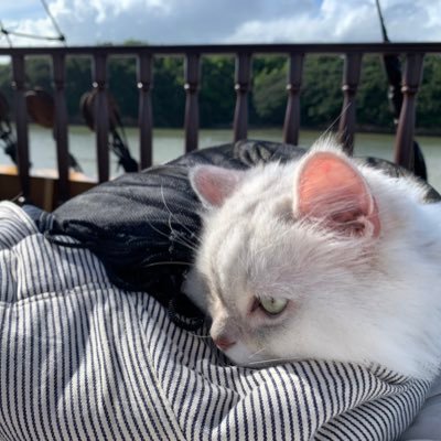 amaesakinoP's profile picture. フリーター