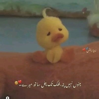 John_12098876's profile picture. ♦️━❖✥◈✥❖━
☔💞 ELECTRICAL ENGINEER: 💞☔
         
    ━❖✥◈✥❖━♦️