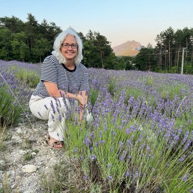 mmewmcd's profile picture. 