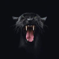 Erwin Carbonell (@carbonell_erwin) 's Twitter Profile