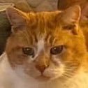 BlueJay (@bluejay87476298) 's Twitter Profile Photo BlueJay (@bluejay87476298) 's Twitter Profile Photo