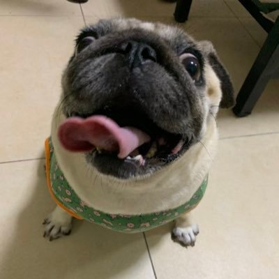 justicz578's profile picture. 