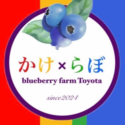 blbe_berry Profile Picture