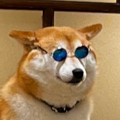 whichpython's profile picture. 製薬会社に所属するバイオインフォの研究員。投稿する内容は所属組織と関係ないです。