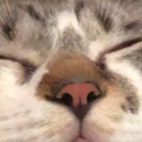 kakakak07 (@kakakak07) 's Twitter Profile