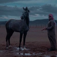 نواف شلاح بن شبـّاب الشريّطي (@alshreety) 's Twitter Profile Photo