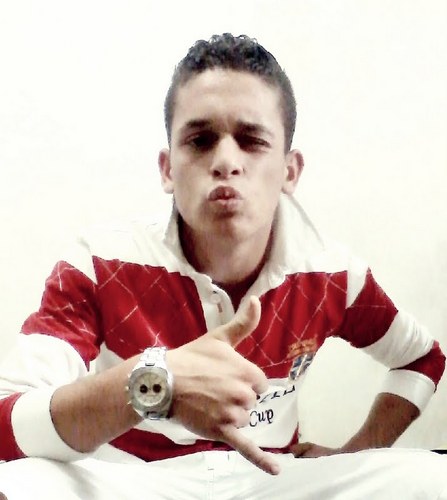 Eu sô problema de montão, De carnaval a carnaval, Eu vim da selva, Sou leão, Sou demais pro seu quintal (Y~