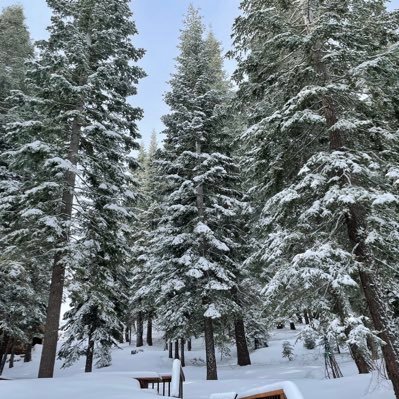 mitphantom's profile picture. 