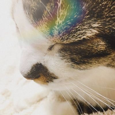 nansmin0406's profile picture. はじめまして!