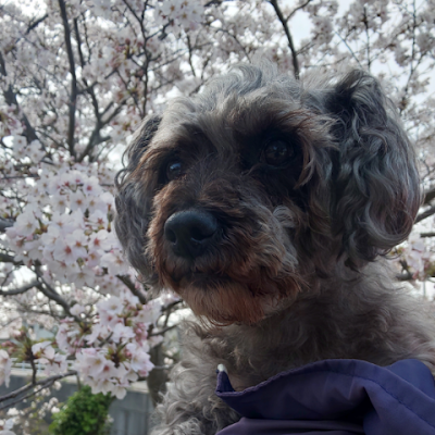 4gv6DZ6aUkWmxqc's profile picture. 