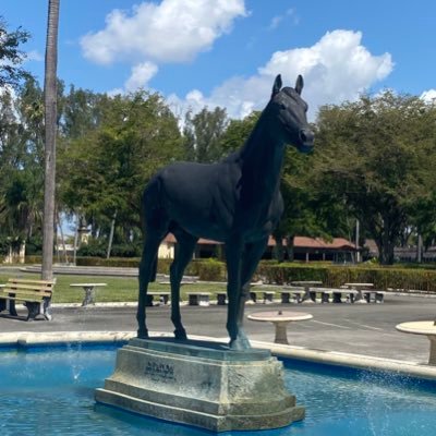 Retired anesthesiologist living in West Chase Florida .Likes hiking,bowling , horse racing. Loves music especially rock and roll.