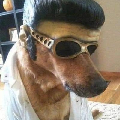 SFB_953's profile picture. 😎