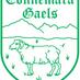 Connemara Gaels (@connemaragaels) Twitter profile photo Connemara Gaels (@connemaragaels) Twitter profile photo