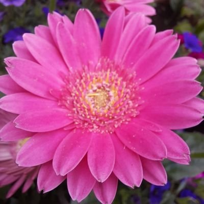 Mariiiechen_'s profile picture. 