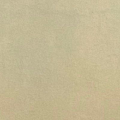sbdisnend's profile picture. 