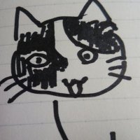 ミニカレー (五十代雄介) (@minicurry) 's Twitter Profile