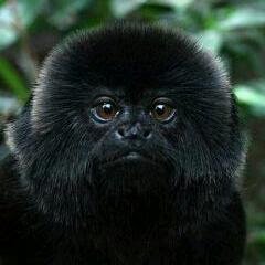 Mcsceptical's profile picture. Back after being zapped for something Twitter will not tell me. Trying to re-establish contact with the 560 or so followers I had and add more. Massive Sceptic.