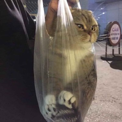 덕프さんのプロフィール画像