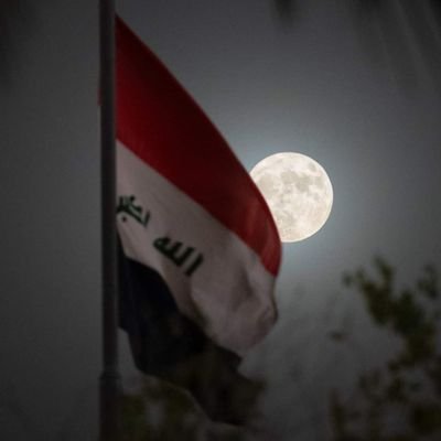 ترتعش الزم بصيتنا وتخسي نسوانكم اجيب مثلنا