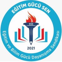 SİİRT EĞİTİM GÜCÜ SEN(@egitimgucusen56) 's Twitter Profile Photo
