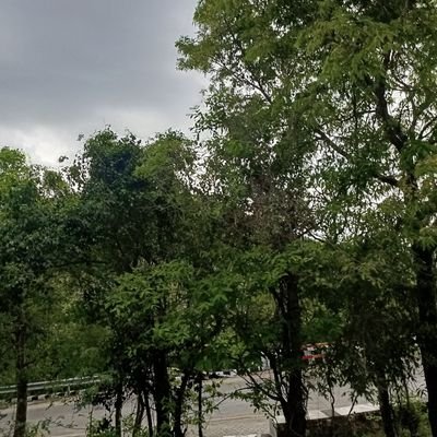 Gowthamt8's profile picture. Broken warrior trying to survive and recover