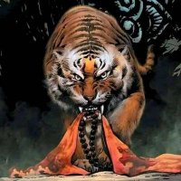 Rajesh Singh (@rajs61842206) 's Twitter Profile