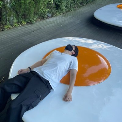 Mont_general_'s profile picture. 芸情17→SE