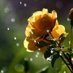 Softly Falls The Rain (@shimmer2rain) Twitter profile photo Softly Falls The Rain (@shimmer2rain) Twitter profile photo