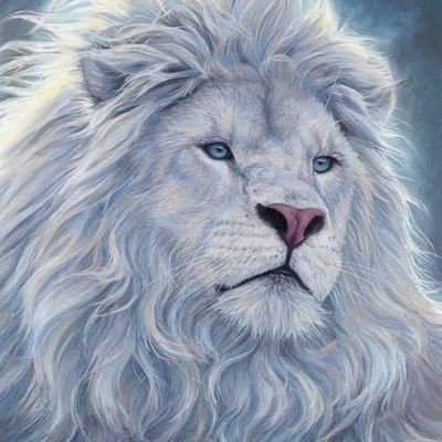 szola_09's profile picture. Proudly christian!