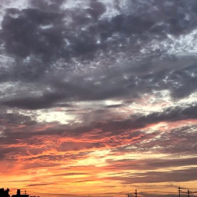 toko_tw_toko's profile picture. 腐向け。twst、他雑食に貪る。逆CPや夢もいけますので自衛ください。無言フォローすみません🙏 20↑。