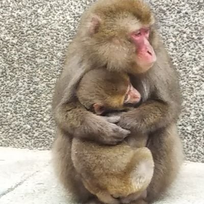 4LdkYgEg8tiSDql's profile picture. いつも心に太陽を!