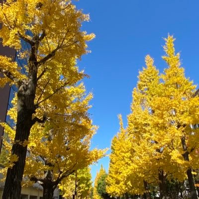 熊工房広報さんのプロフィール画像