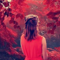 Annie (@anniehe17270007) 's Twitter Profile