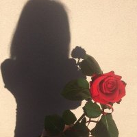 Evangeline (@evangeline_trav) 's Twitter Profile