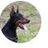Giusepp90764169's profile image