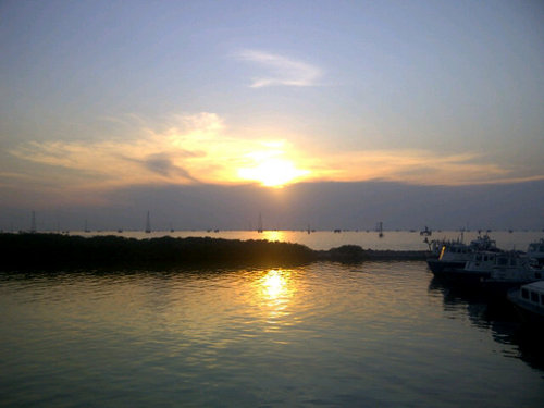 elespinozuliano's profile picture. 