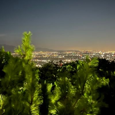 mikkkkkkkudesu's profile picture. 