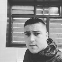 sam assalone (@therealassalone) 's Twitter Profile
