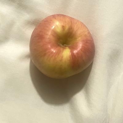 antigone9543's profile picture. 