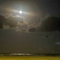 Hard_angle (@hard_angle) 's Twitter Profile